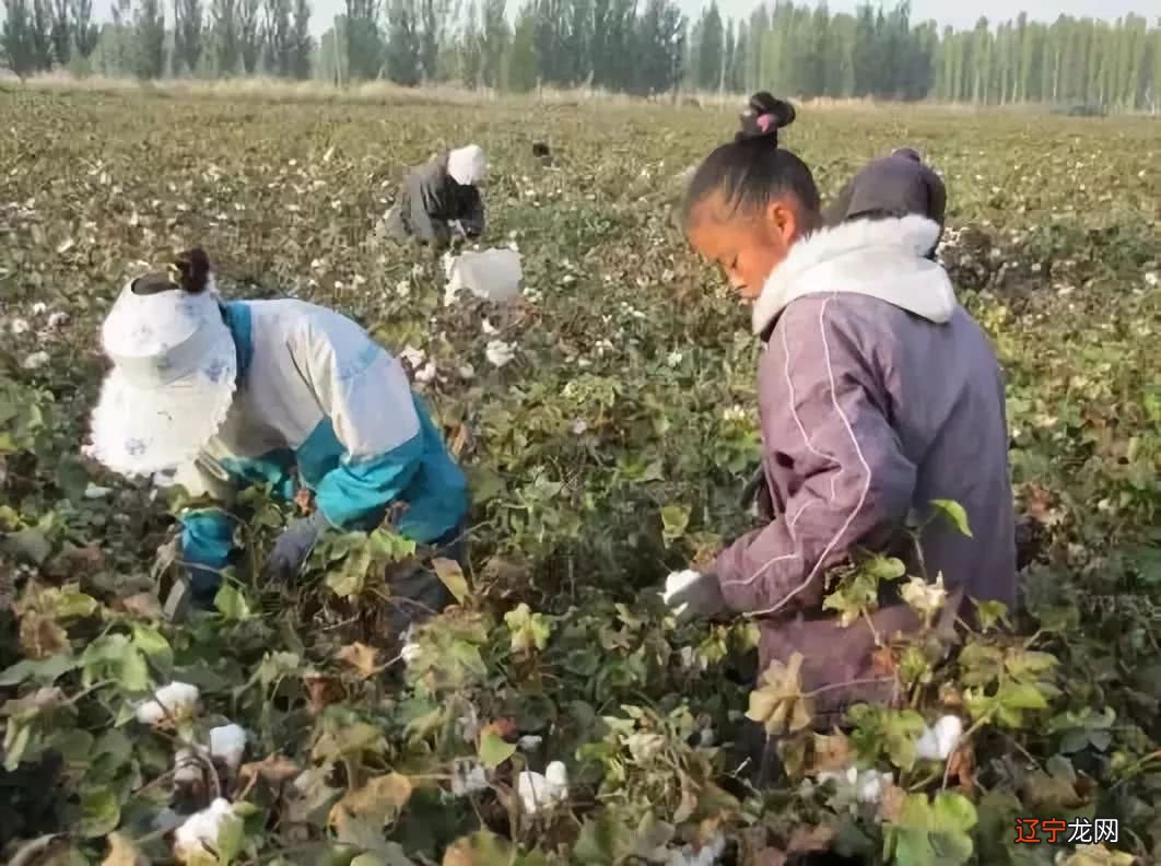 建议永久保存的东西！ 孩子为什么会不听话？