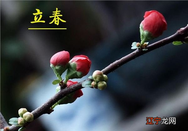 1990年是什么生肖年份？的年份有什么算法