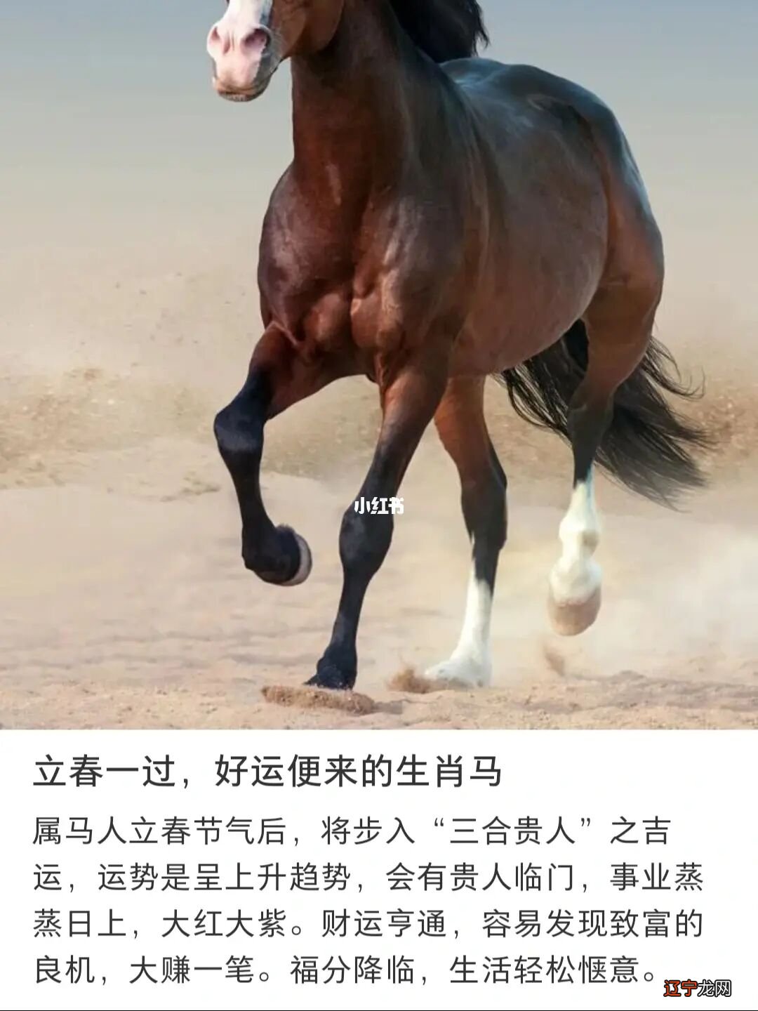 1990年是什么生肖年份？的年份有什么算法