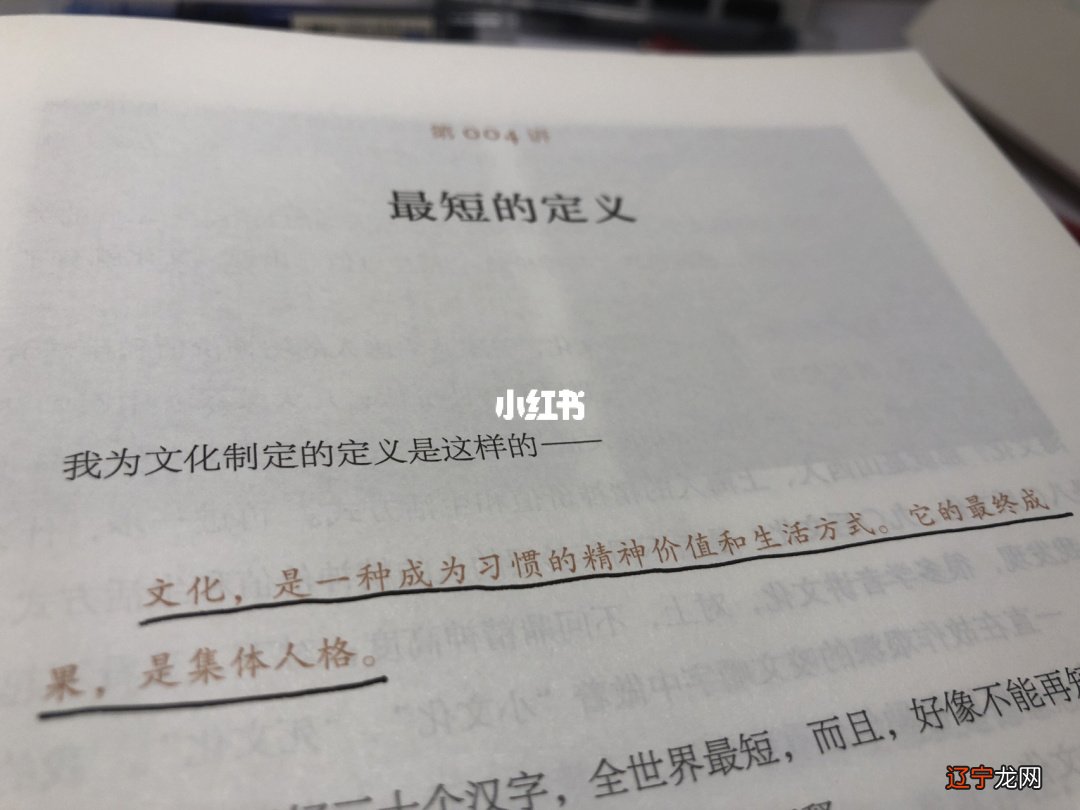 余秋雨 文化_余秋雨关于文化的解释_何谓文化 余秋雨