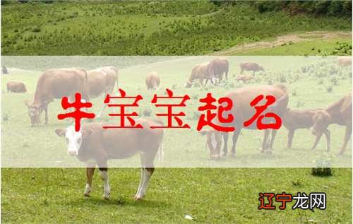 牛年出生的宝宝小名，你知道这是怎么回事和草字头的那个比较适合