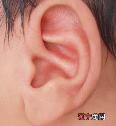 塔罗牌占卜塔罗占卜爱情_塔罗牌占卜在线占卜_耳朵占卜