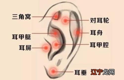 耳朵面相算命图解大全-从耳朵看一生运势吉凶大全