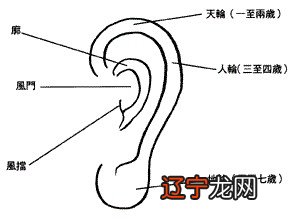耳朵面相算命图解大全-从耳朵看一生运势吉凶大全