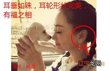 耳朵面相算命图解大全-从耳朵看一生运势吉凶大全