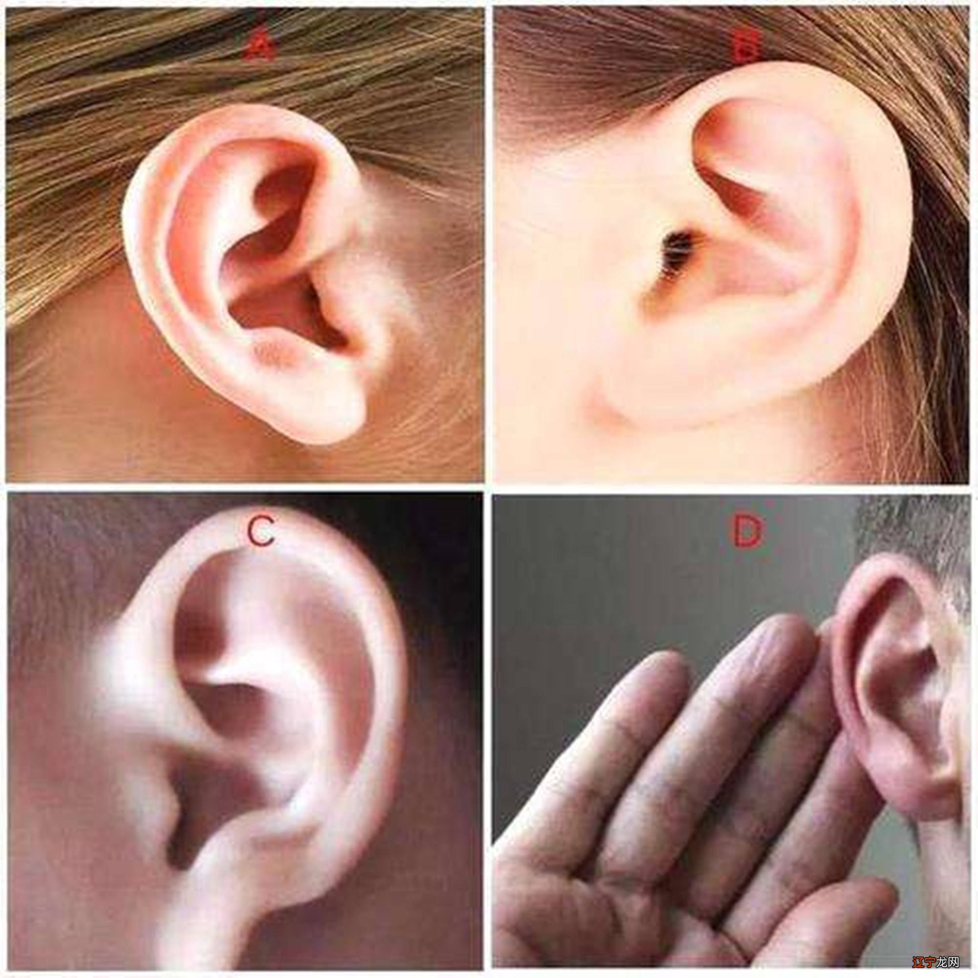 耳朵面相算命图解大全-从耳朵看一生运势吉凶大全