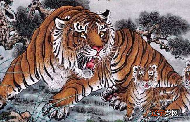 属虎的和什么属相的女性最配、马、狗是最相配