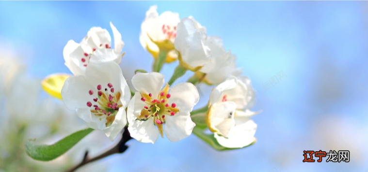 经典里的养生智慧——法于阴阳和于术数｜跟着经典学养生