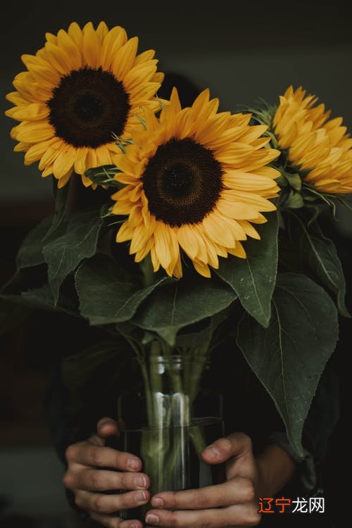 梦见自己头发很长是什么意思?周公如何解释梦见很多很多