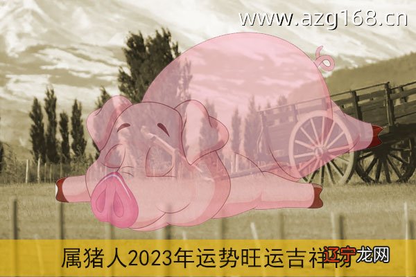 属猪居：2019年本命年运势及运程：属猪的人