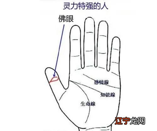 手相中拥有佛眼纹的人情商很高,拥有佛眼
