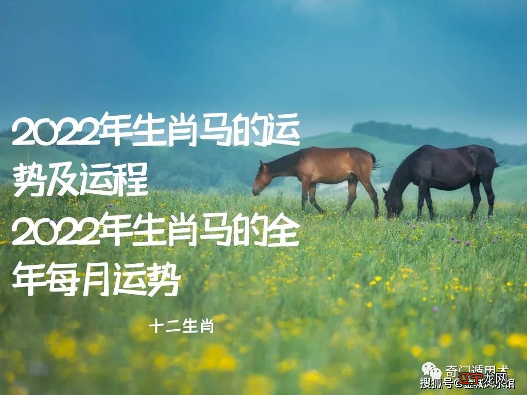 1563年属啥生肖属啥_78年属马的幸运生肖_2012年属什么生肖五行属什么