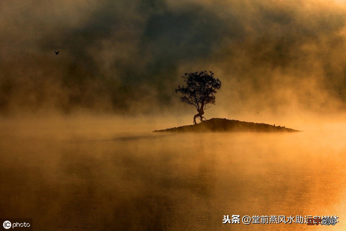 公务员考试行测:四柱八字的强弱作用和反应方式