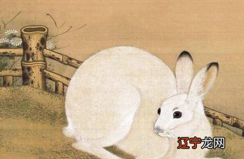 2012年属什么生肖五行属什么_1963年2月27日五行属什么生肖_1963年出生五行属什么