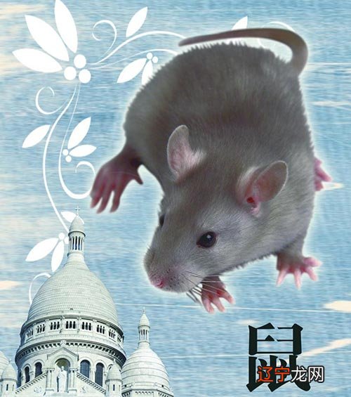 说到取名字大全生辰八字男孩属鼠出生农历2008年3月28日2点多