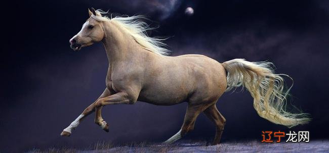 1978年属马女人今年运程如何,另外还有人想问