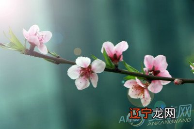 七杀格男命婚姻_八字七杀带劫财格_男 八字 带 七杀 婚姻