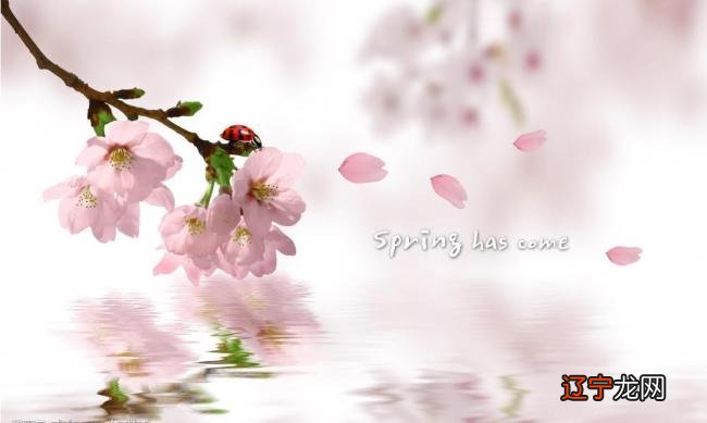 正印格 风水堂:八字论正印的心理特点及解析