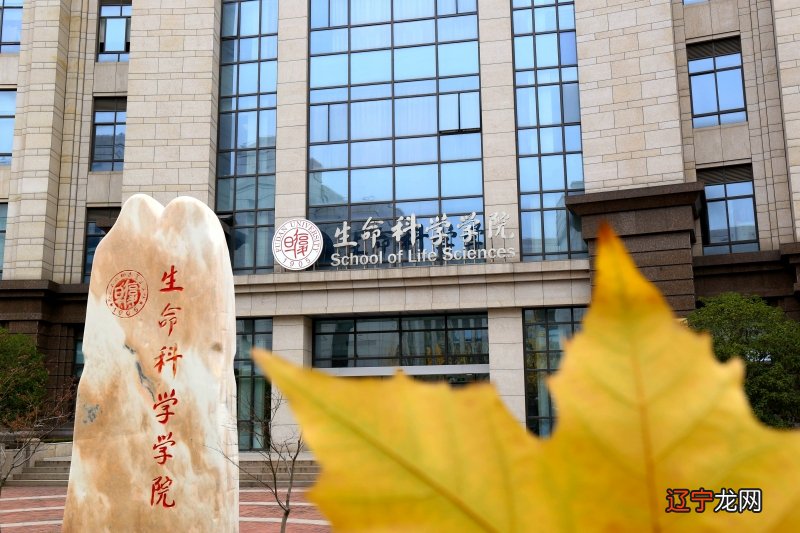 生命科学对生命科学的排名可以帮助你找到世界上最好的大学