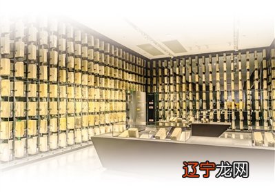 古城今壁 交相辉映（解码·博物馆的力量）