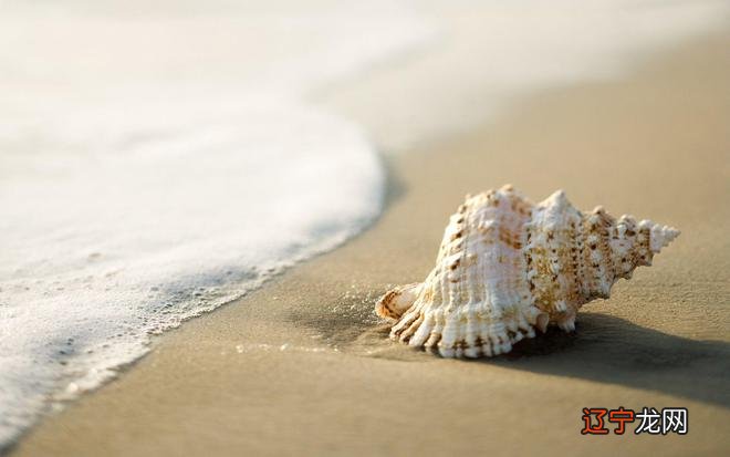 恋爱中的金牛座女人的最佳匹配是摩羯座男人！！