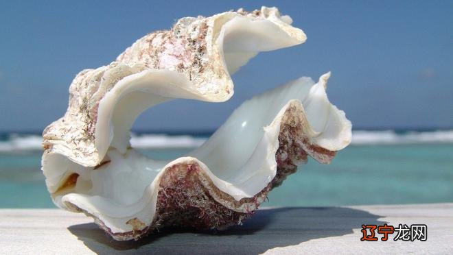 恋爱中的金牛座女人的最佳匹配是摩羯座男人！！