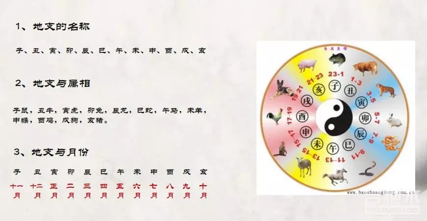 图 怎样根据属相算出生日期怎样推算日期属相?