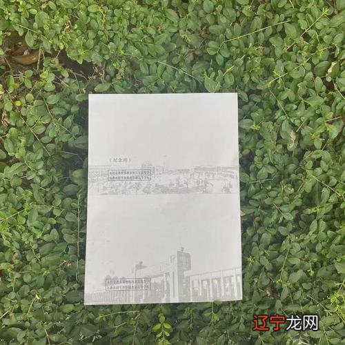 学八字算命的基础 八字命理五行基础知识,八字入门其实很简单