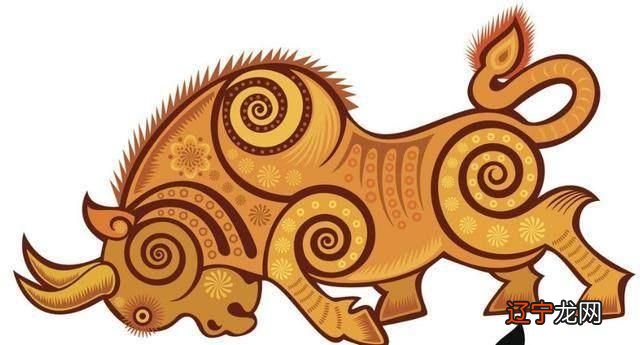 图 2023丁酉鸡年生肖牛运程运势情况分析