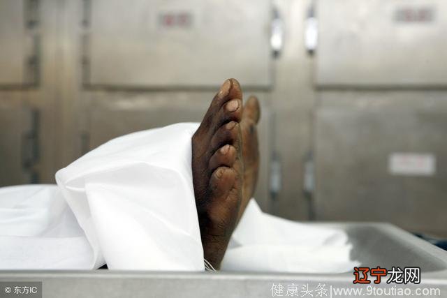 邵夫子为你揭秘：梦见这些都不足为奇的幸福生活预示