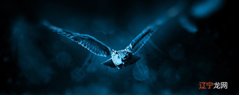 图 属猴人在2022年生孩子好吗？