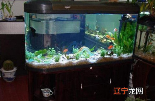 慈世堂：如何设计与摆设才能让财富更好？