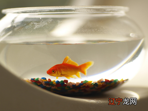 慈世堂：如何设计与摆设才能让财富更好？