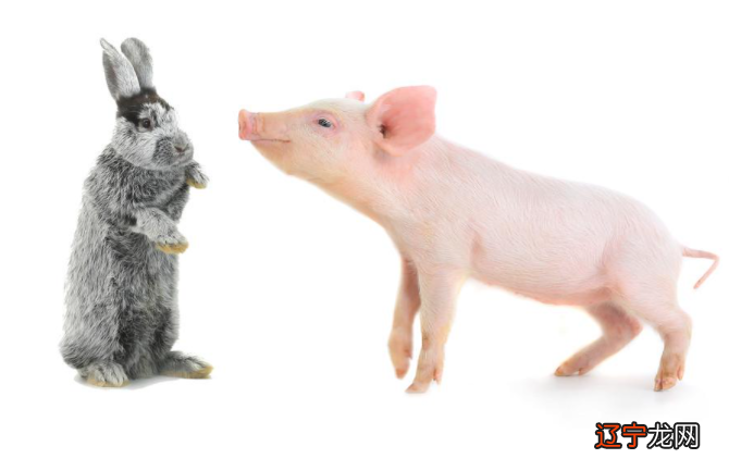 95年属猪今年怀孕好吗?有什么影响吗?