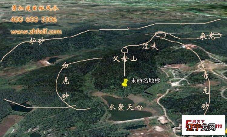 灵兽四成了热门的设定，你知道几个？