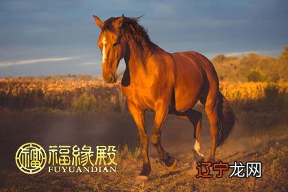 【李向东】十二生肖对应五行：金：猴，鸡。