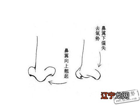 面相学里还有“男看鼻子女看嘴一生富贵少是非”