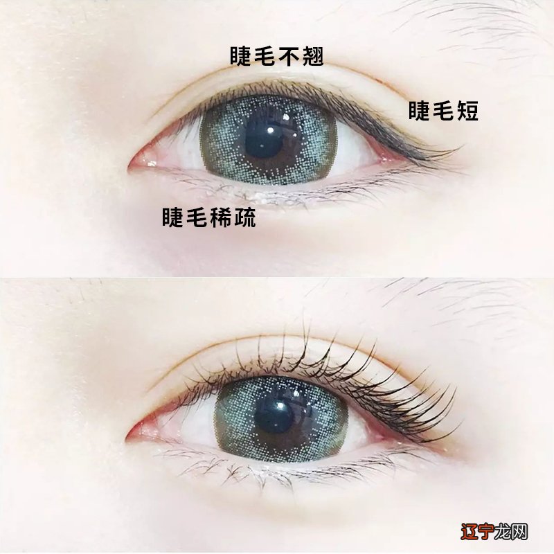 眉毛有痣 面相_相学面相全解有一根硬眉毛_女人相学眉毛全解图