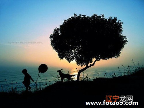 梦见砍手有何寓意？梦见手掌被砍又重新长好