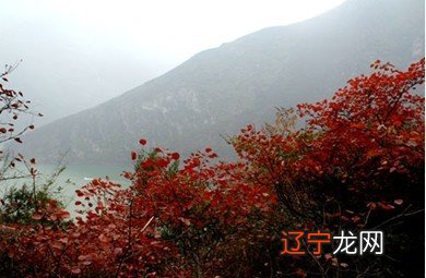 重庆国庆旅游10个必去的地方，你去过几个？