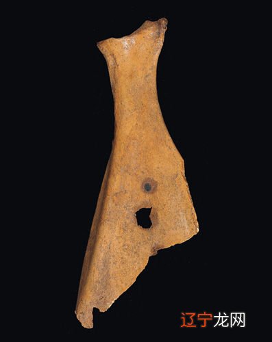 图 古代的占卜 无疑考古发现:齐家文化至中下游的文化现象