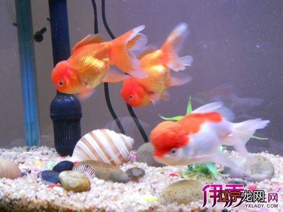 慈世堂:无论是求财求爱情姻缘求事业在风水中都有影响