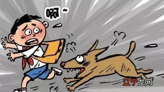 属狗人属相婚配表-属狗的人最佳婚配是谁