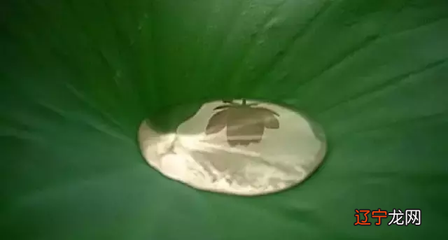 养生——正确的生活方式现代人养生该注意什么?