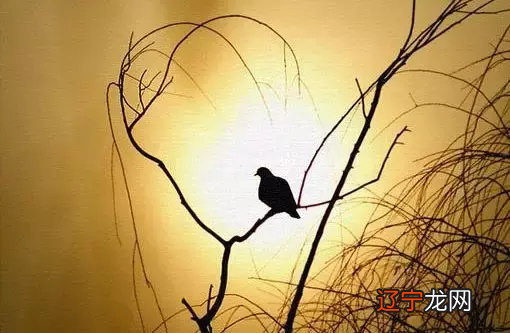 养生——正确的生活方式现代人养生该注意什么?