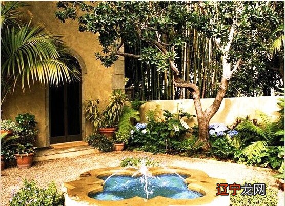 门前种什么树风水好?，跟着小编一起来看看