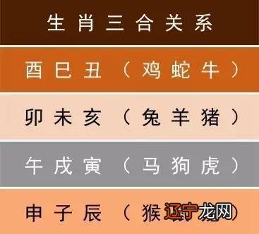 不同年份出生生肖属兔的吉利楼层大全，值得收藏！