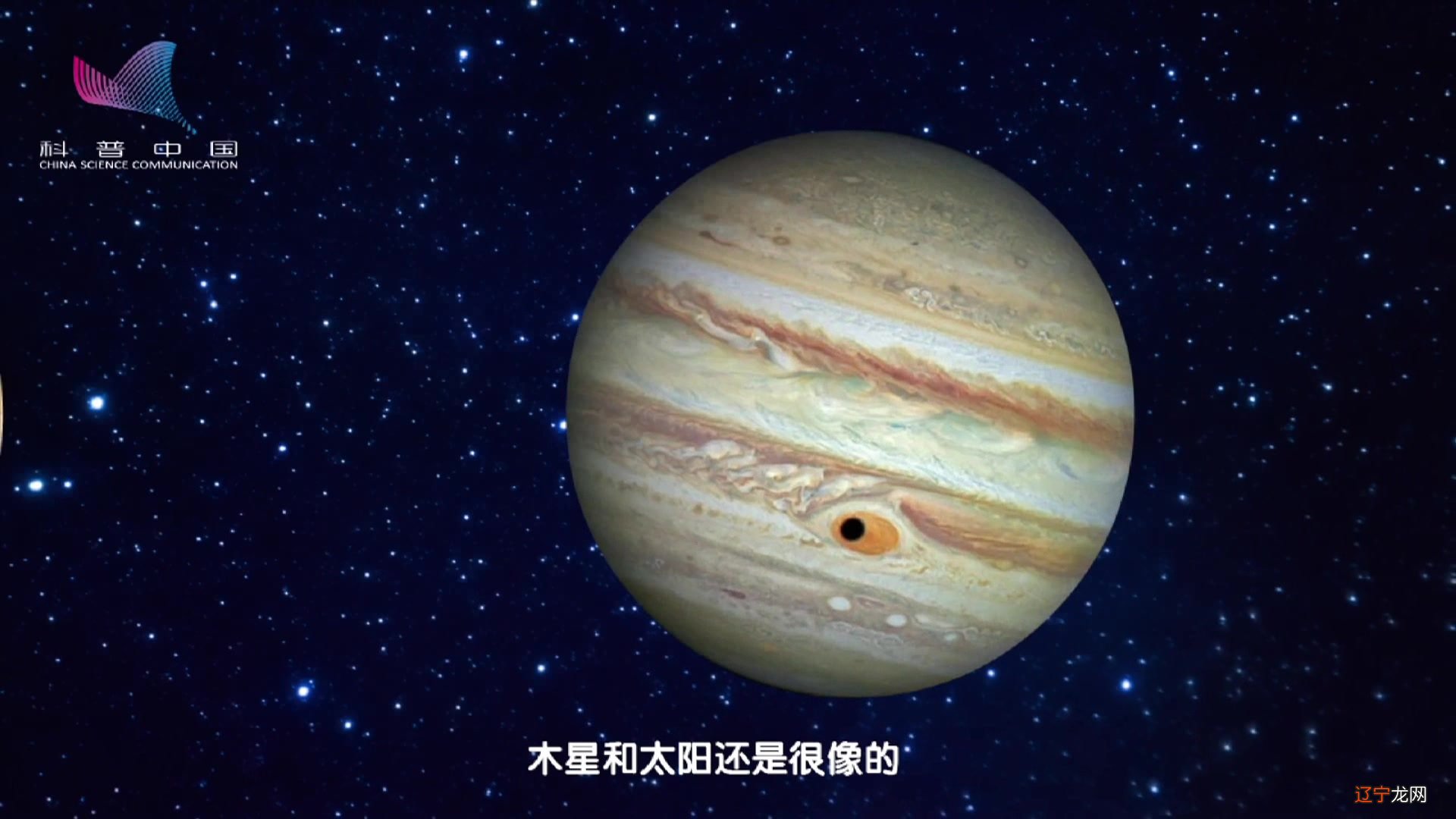 深度好文 水木型人的沟通倾向是什么？