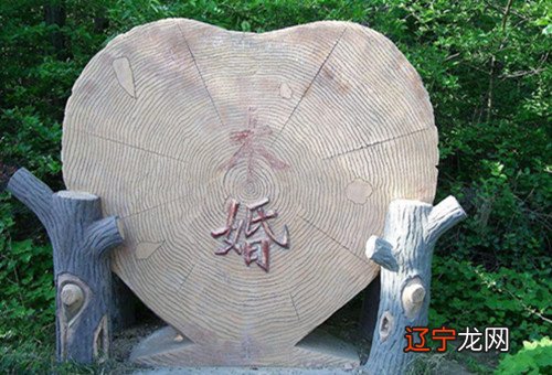 九星合婚天医啥意思_八字合婚是下等婚怎么办_两个人合婚是什么意思