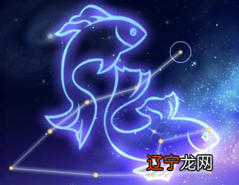 组图 双鱼座是什么星座,双鱼座的象征代表两条鱼